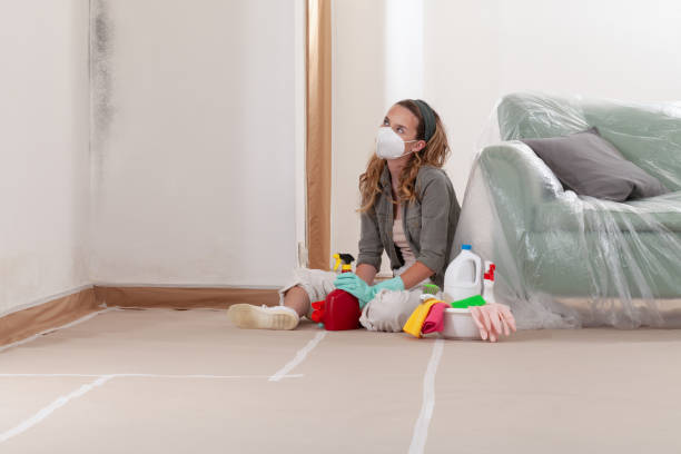Reliable Mold Remediation contractor in Whitehall, MI by WQB Mold Removal
